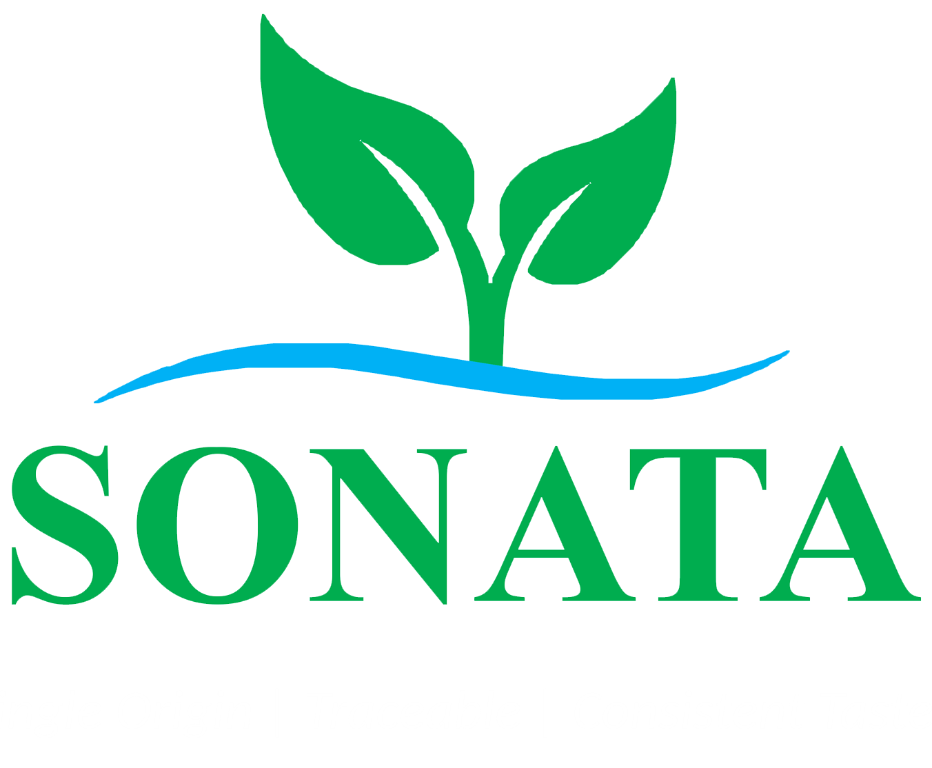 Sonata Industries Limited